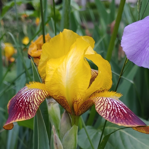 Meet your Posher, Sandra - Picture 4 of 6